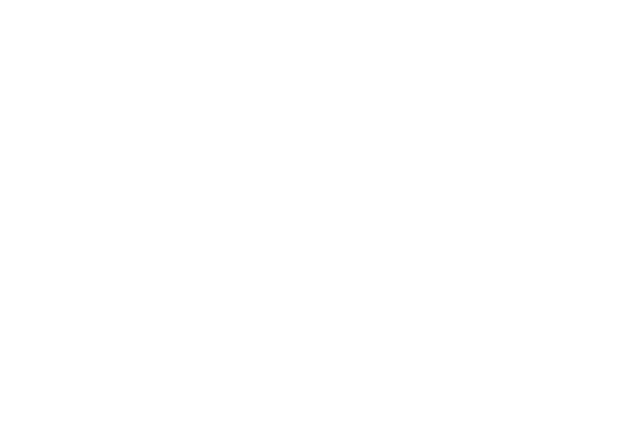 BBB A+ Rated Business